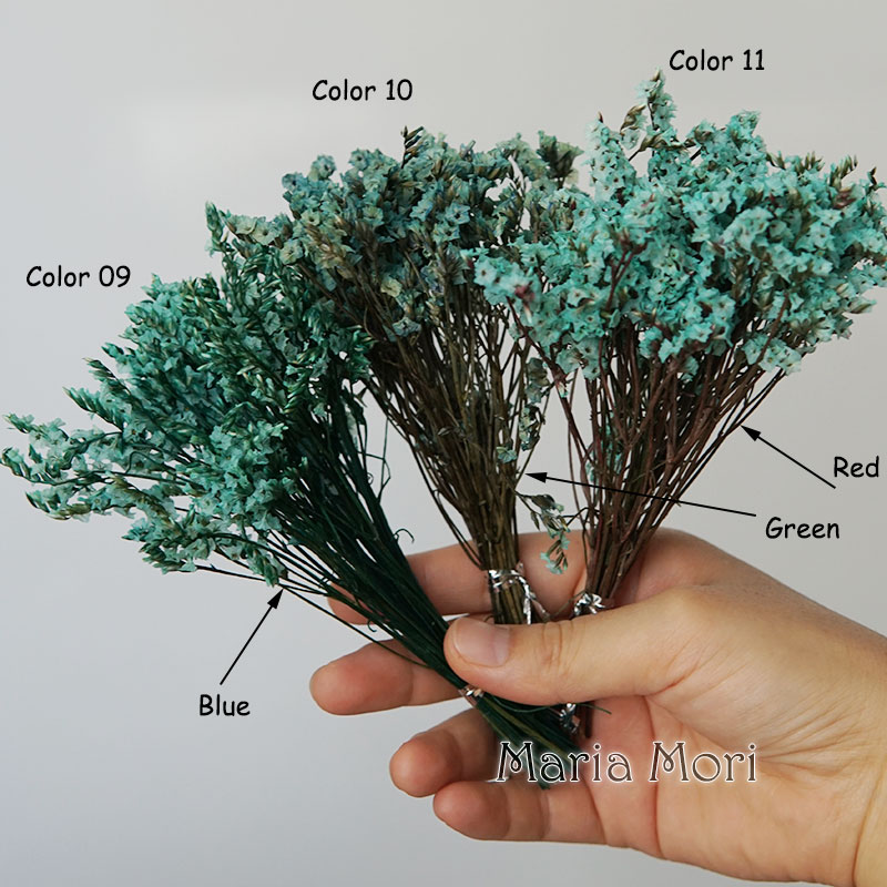 5g/colorido hierba de cristal  - Candle Making At Home reseña y precio