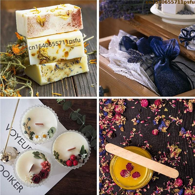4 tipos de capullos de rosa na - Candle Making At Home reseña y precio